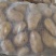 土豆大量供应