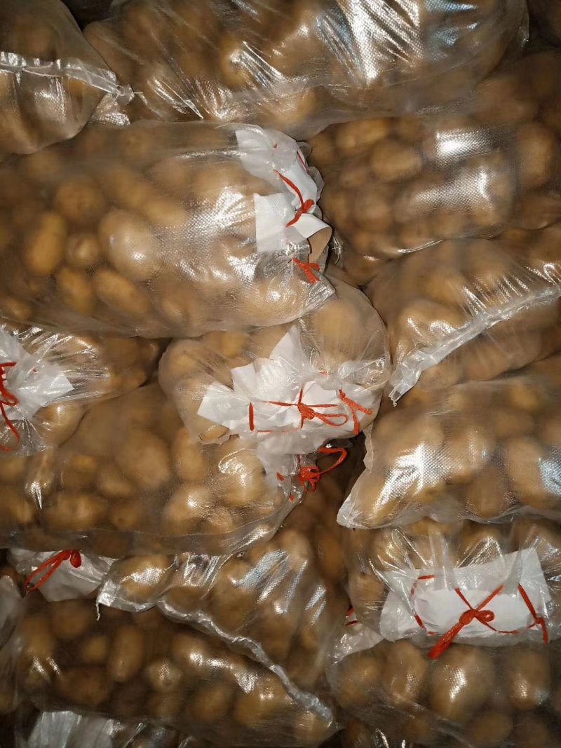 土豆大量供应