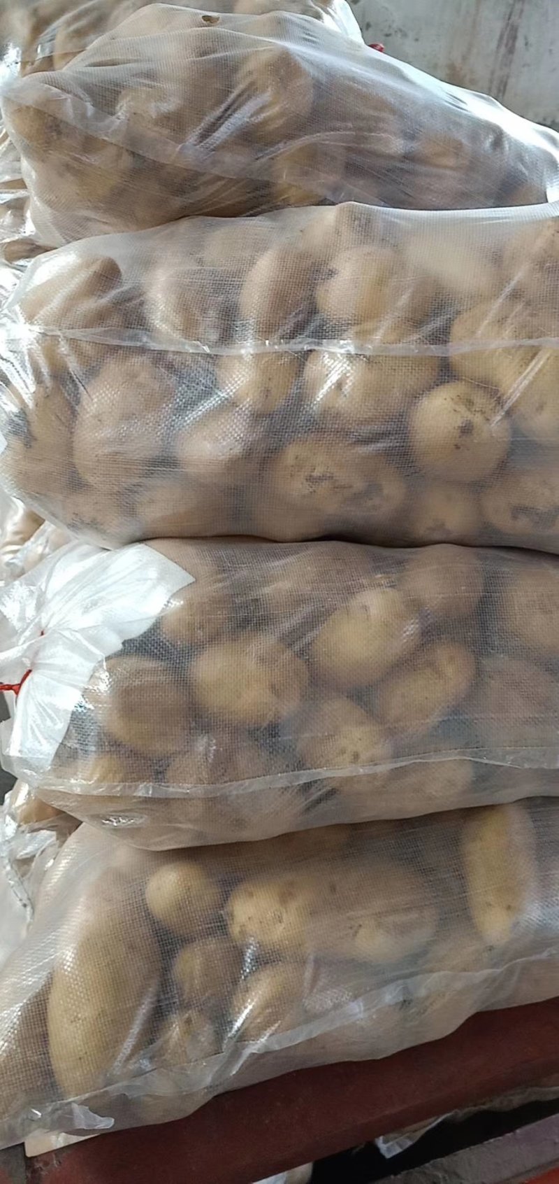 土豆大量供应