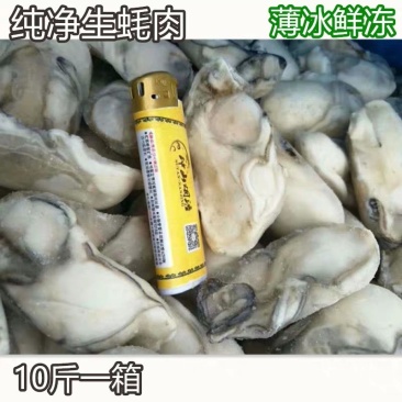 现剥鲜冻生蚝肉水产牡蛎鲜活海鲜海蛎子去壳生蚝肉10斤商用