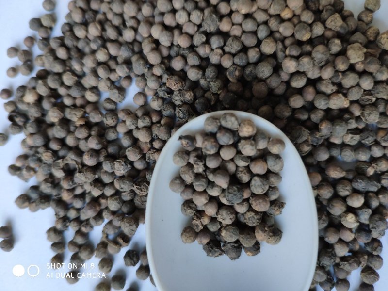 大圆叶木耳菜种子高产蔬菜豆腐菜种子孑爬藤蔬菜籽四季