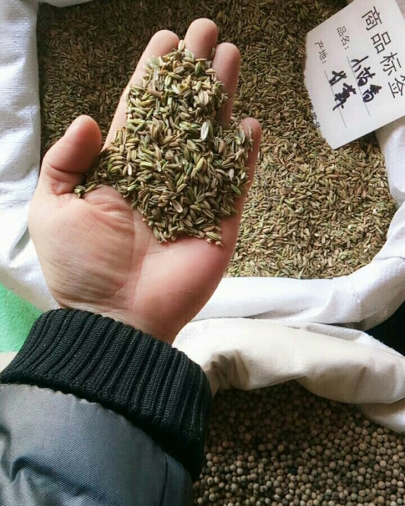 小茴香籽小茴香粒无硫无染色调料卤料香料各种中药材