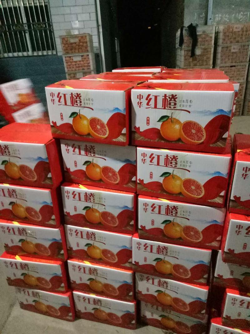 中华红血橙产地发货！果面光滑，口味甜！果园看货以质论价
