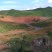 2000亩缓坡山地