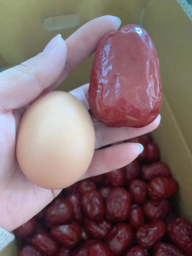 新疆特级和田大枣特级和田玉枣2斤