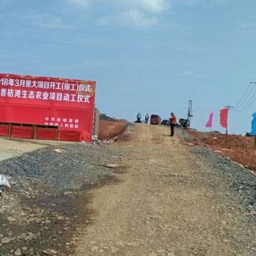 2000亩优质山地供应