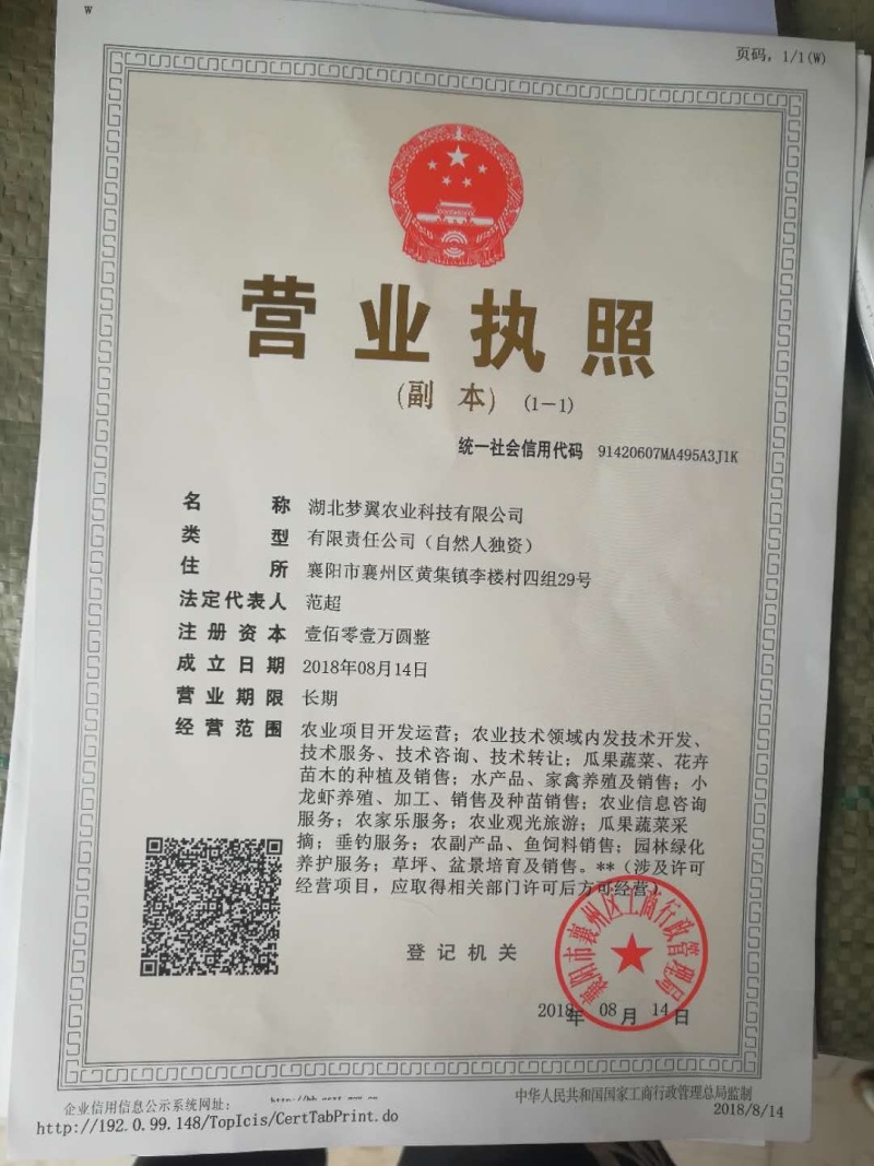 藕种373511~13厘米30~35厘米