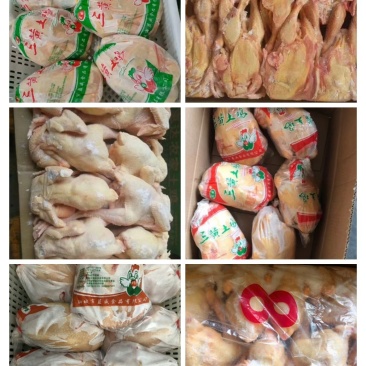 聊城市蓝威食品三黄鸡