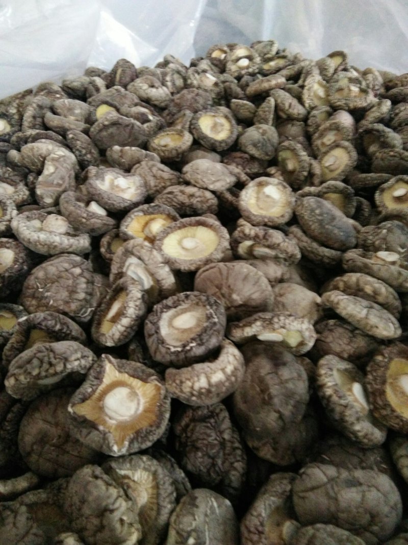 有好货，山城山珍干香菇一级品，精品一件代发