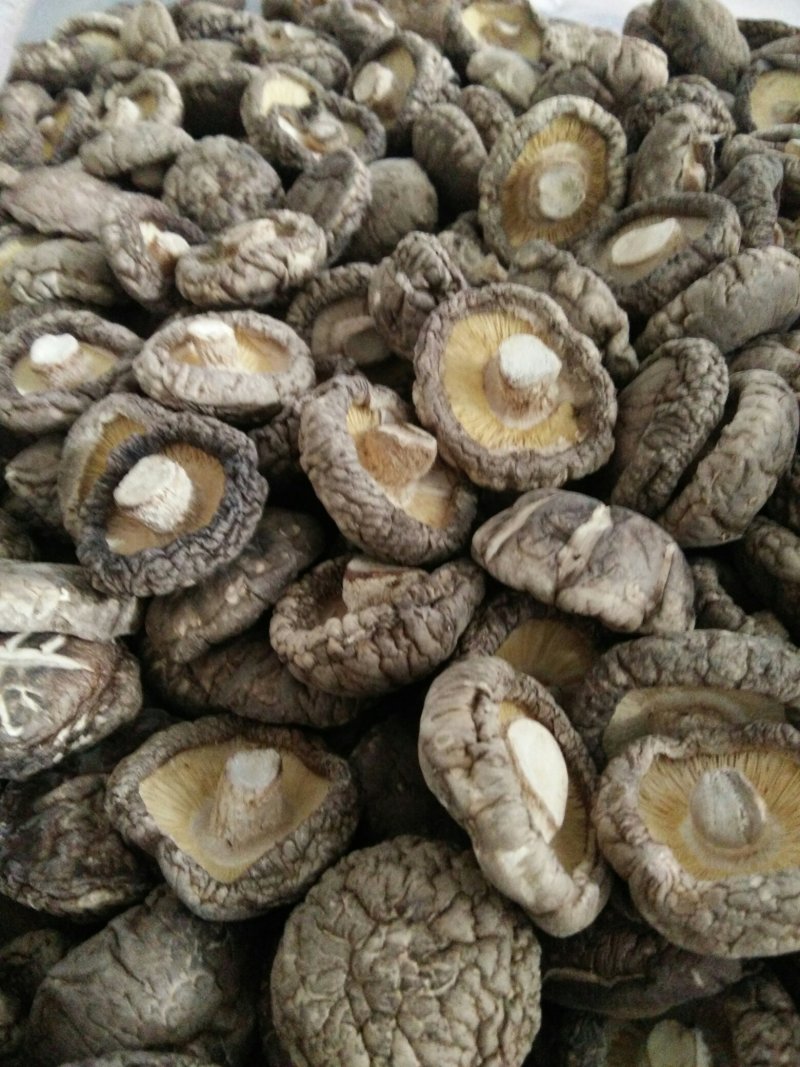 有好货，山城山珍干香菇一级品，精品一件代发