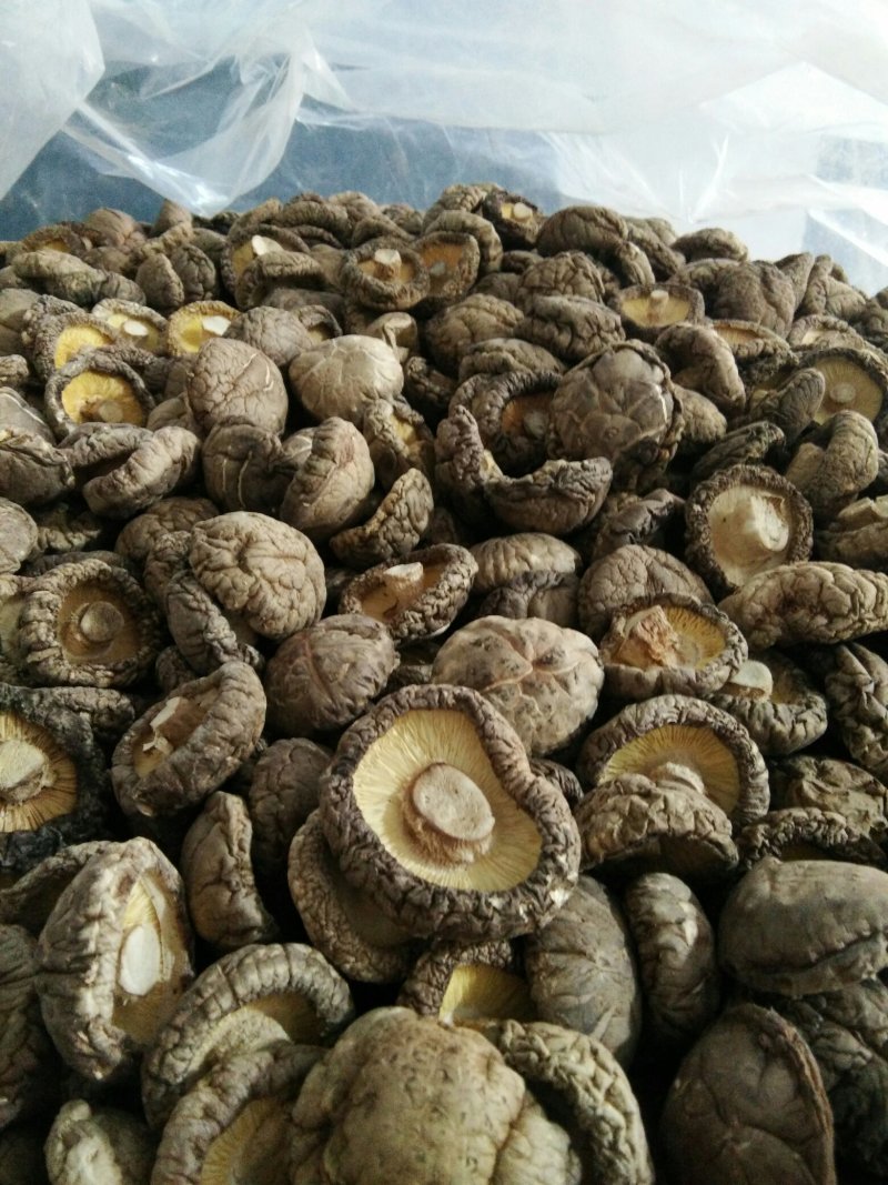 有好货，山城山珍干香菇一级品，精品一件代发