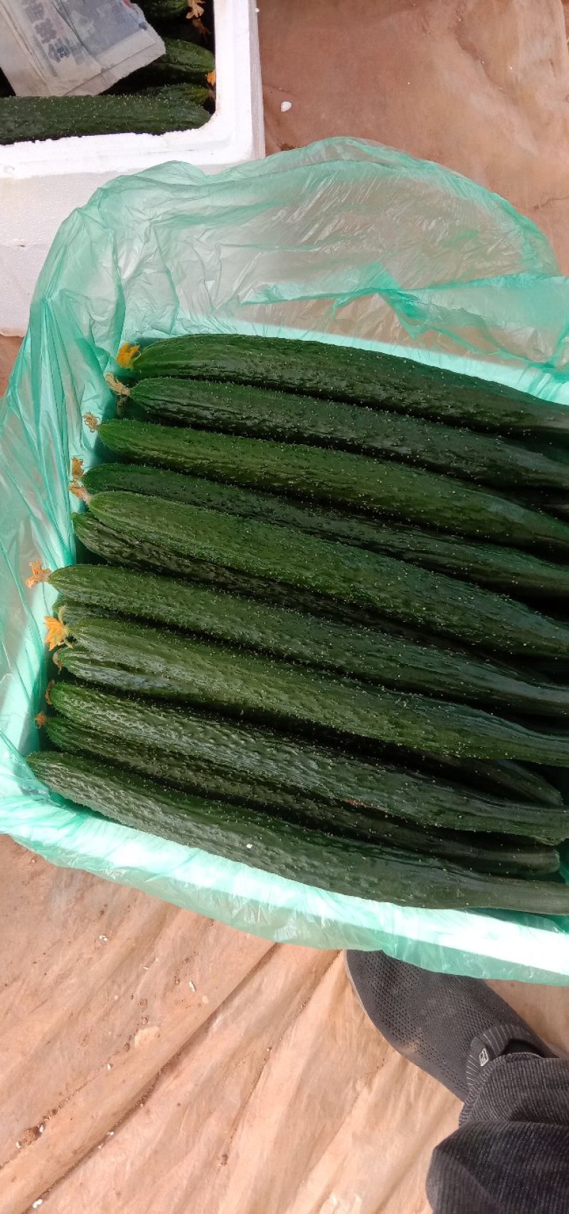 精品西胡芦