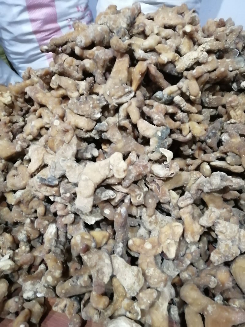黄精大，小，中，统