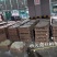 三黄鸡苗分别【中三黄、大三黄、快大黄】包打疫苗,包路损