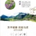 云南紫丹参干货整支丹参批发苗一斤丹参片丹参批发