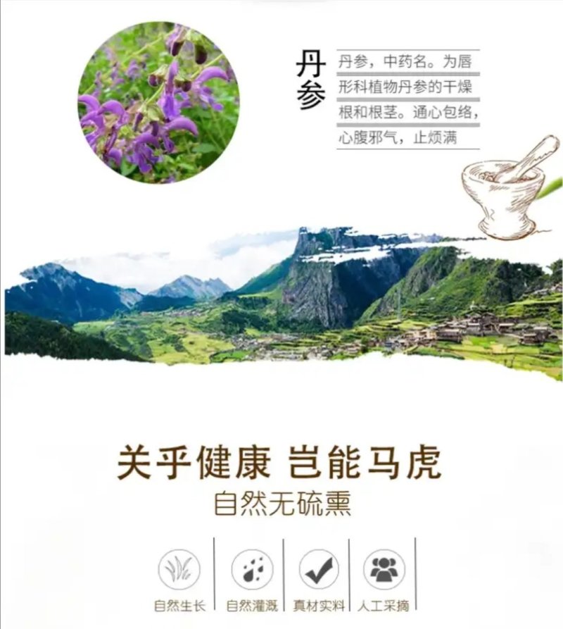 云南紫丹参干货整支丹参批发苗一斤丹参片丹参批发