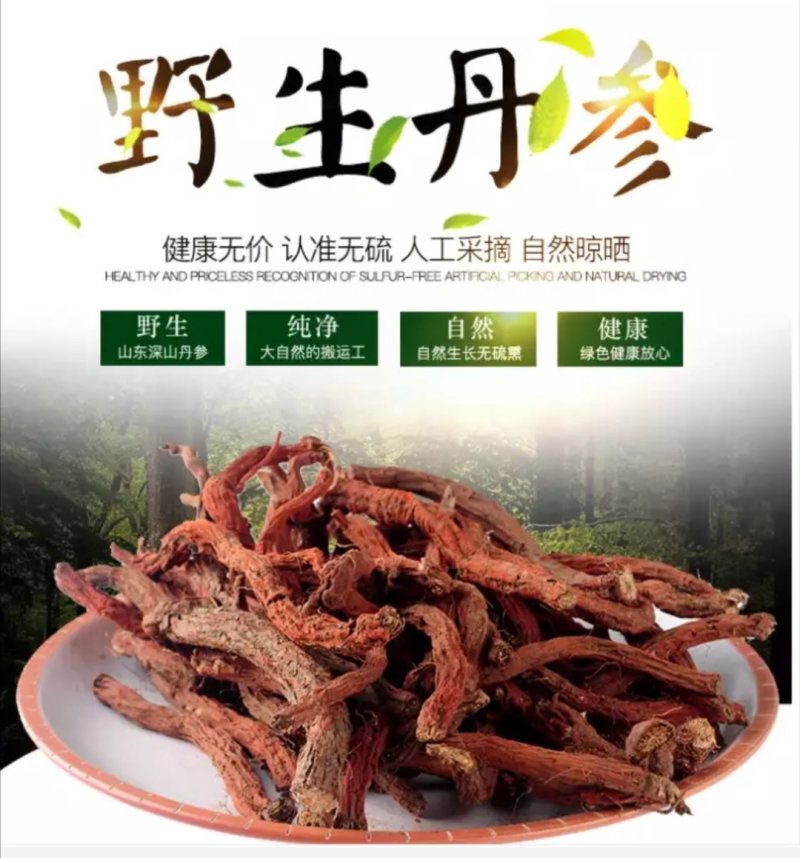 云南紫丹参干货整支丹参批发苗一斤丹参片丹参批发