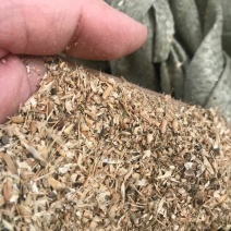 碎小麦质量保证一手货源免费拿样无土