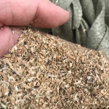 碎小麦质量保证一手货源免费拿样无土