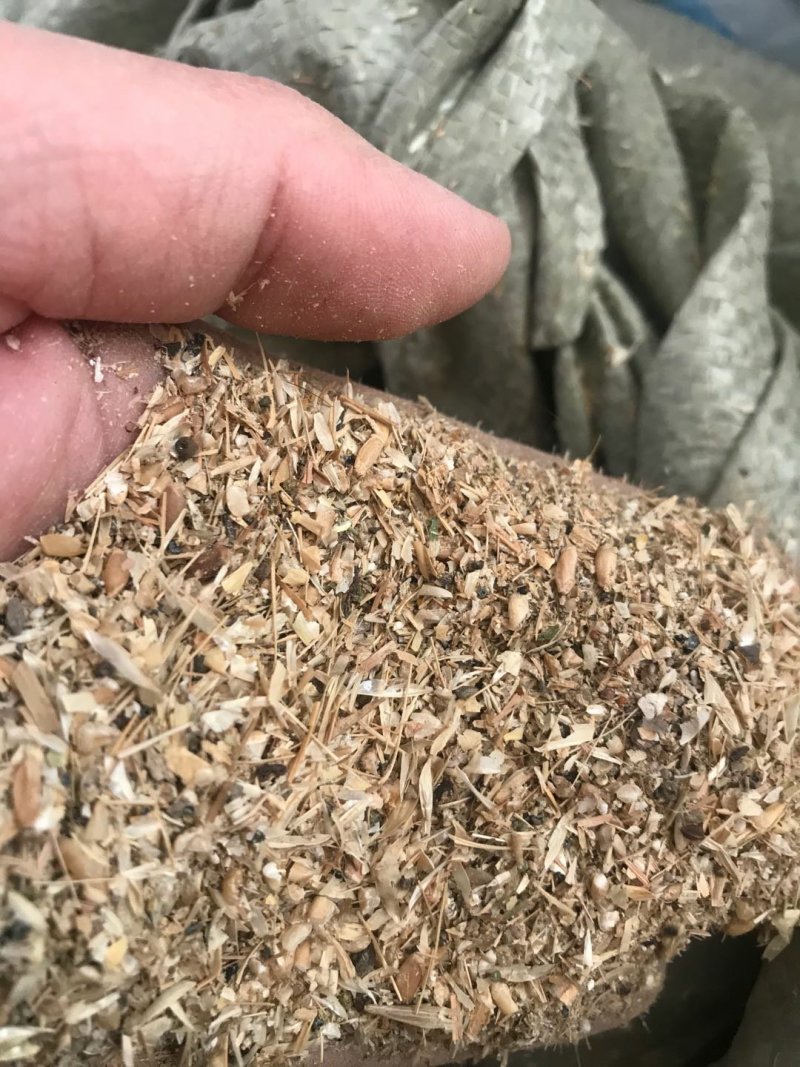 碎小麦质量保证一手货源免费拿样无土