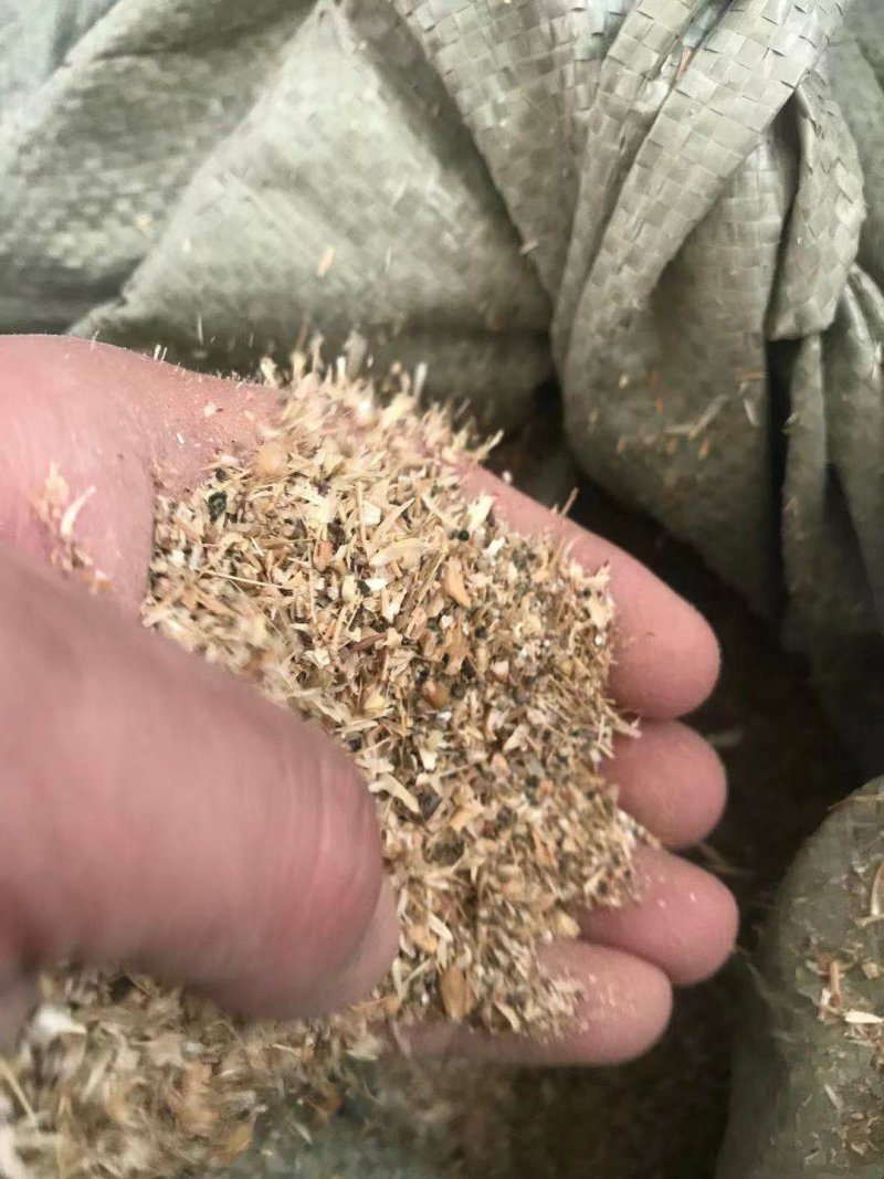 碎小麦质量保证一手货源免费拿样无土