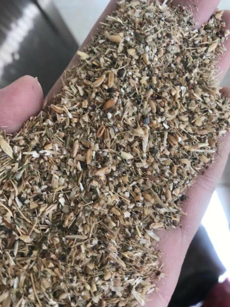 碎小麦质量保证一手货源免费拿样无土