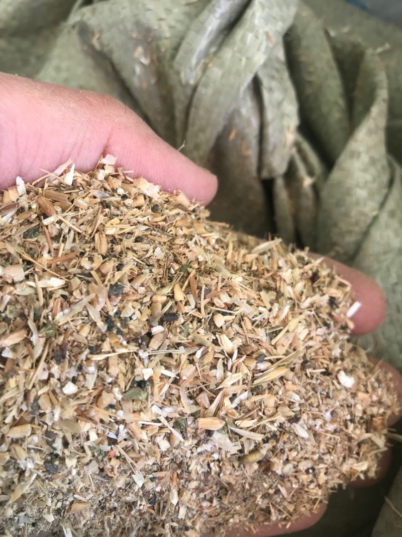 碎小麦质量保证一手货源免费拿样无土