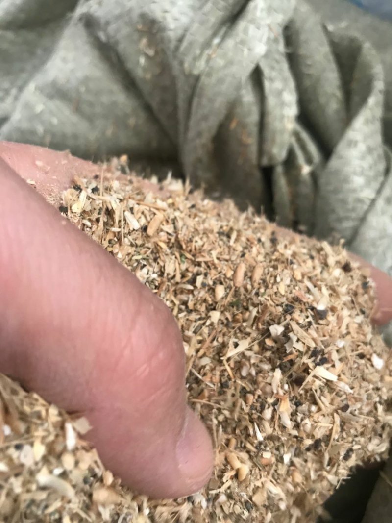 碎小麦质量保证一手货源免费拿样无土