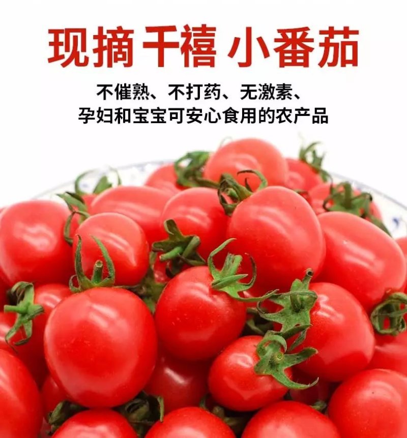 一件代发，5斤装农信牌VC含量高，支持各位客户拿样品