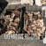 长白山野生斑褐孔菌选货质量保证