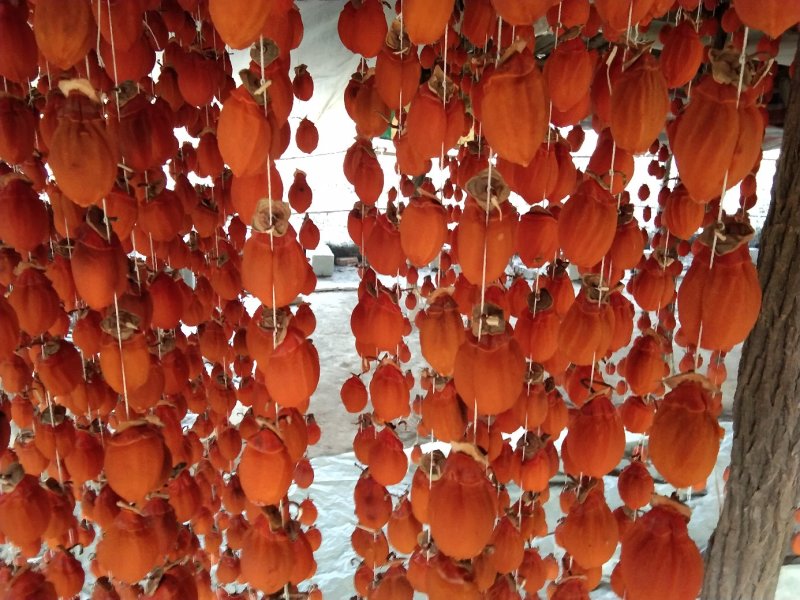 青州霜饼大量上市原产地，一手货源