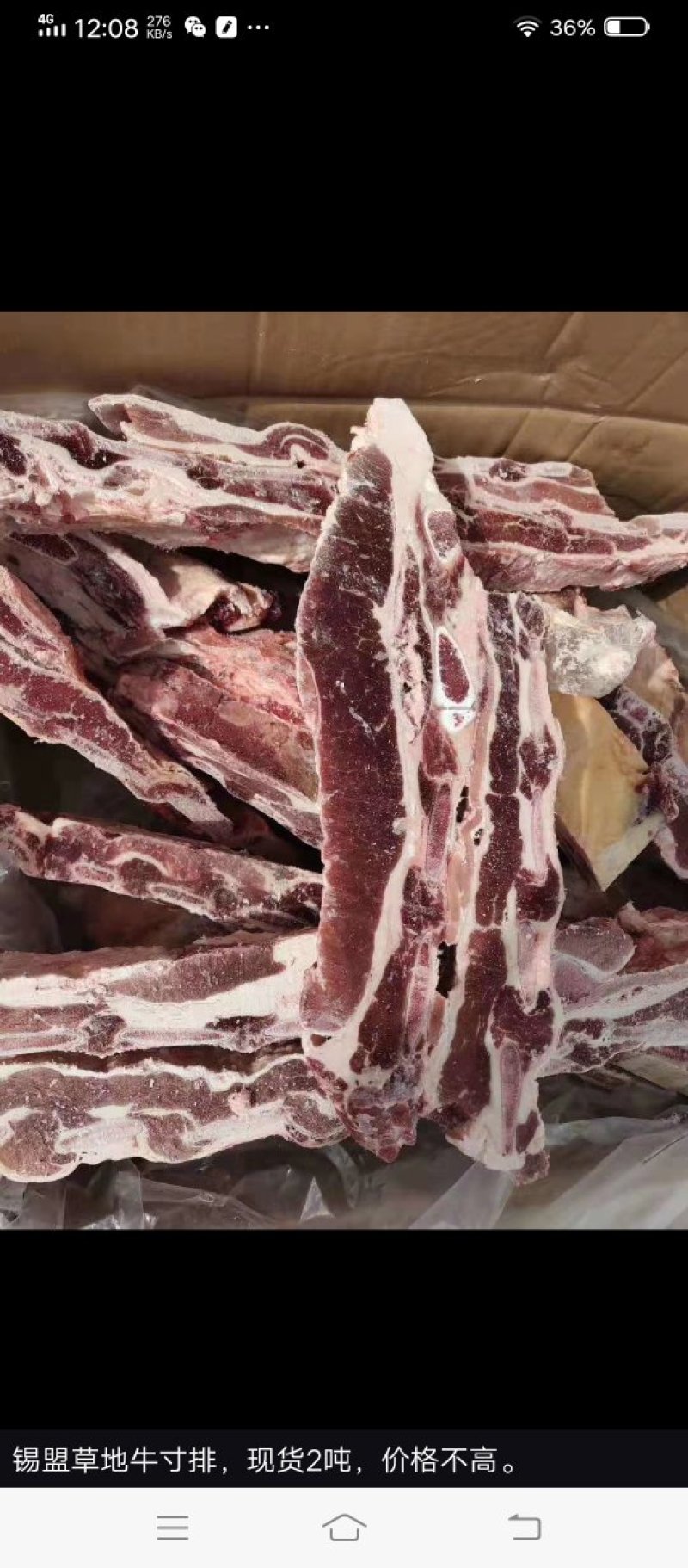 【精品】多肉牛排厂家直发货源充足欢迎咨询
