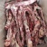 【精品】多肉牛排厂家直发货源充足欢迎咨询