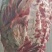【精品】多肉牛排厂家直发货源充足欢迎咨询