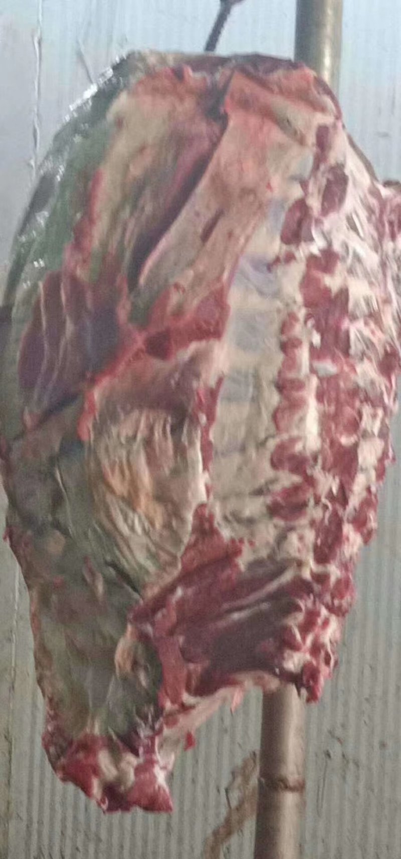 【精品】多肉牛排厂家直发货源充足欢迎咨询
