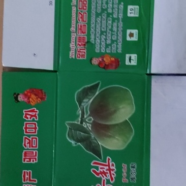 纸箱