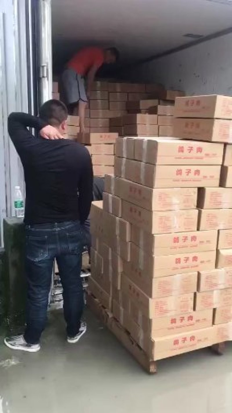 养殖基地常年供应【白条冻鸽】量大从优质量好口感好回头率高