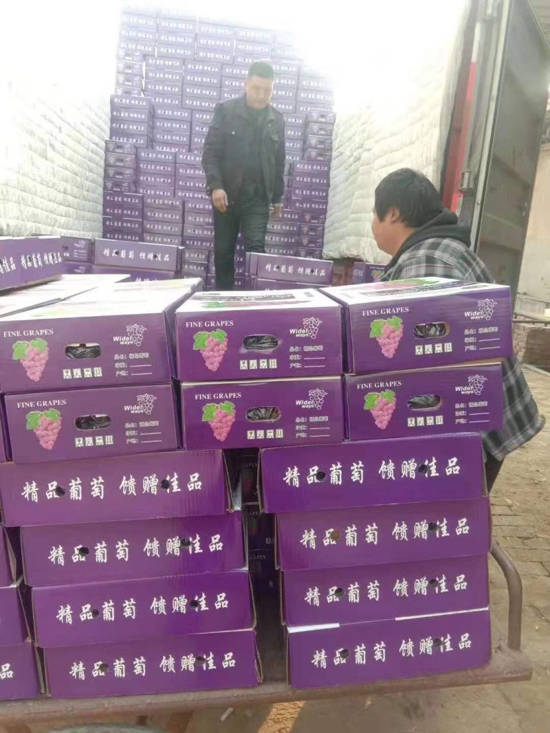 净品巨峰葡萄，粒大，甜，口感清爽，颜色好，产地直销，每天