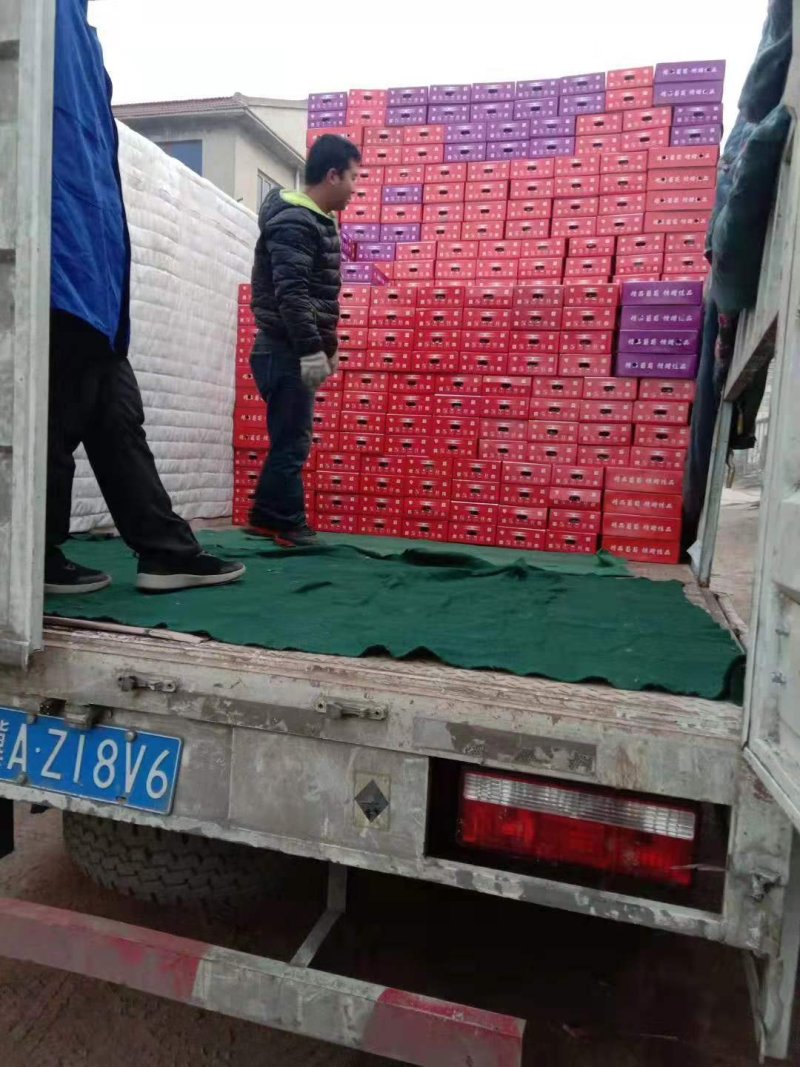 净品巨峰葡萄，粒大，甜，口感清爽，颜色好，产地直销，每天