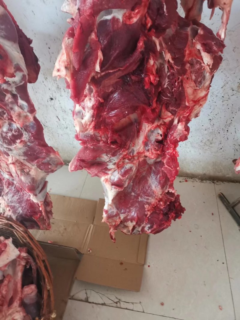纯干鲜牛肉，长期加工，