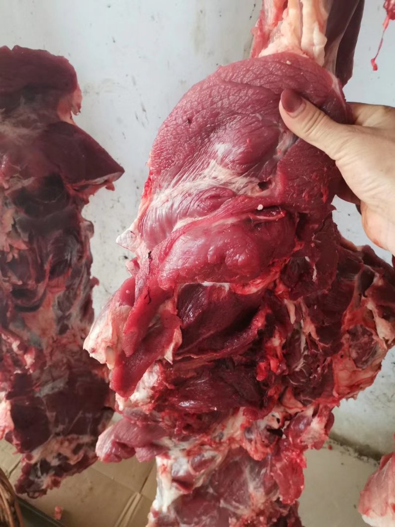 纯干鲜牛肉，长期加工，
