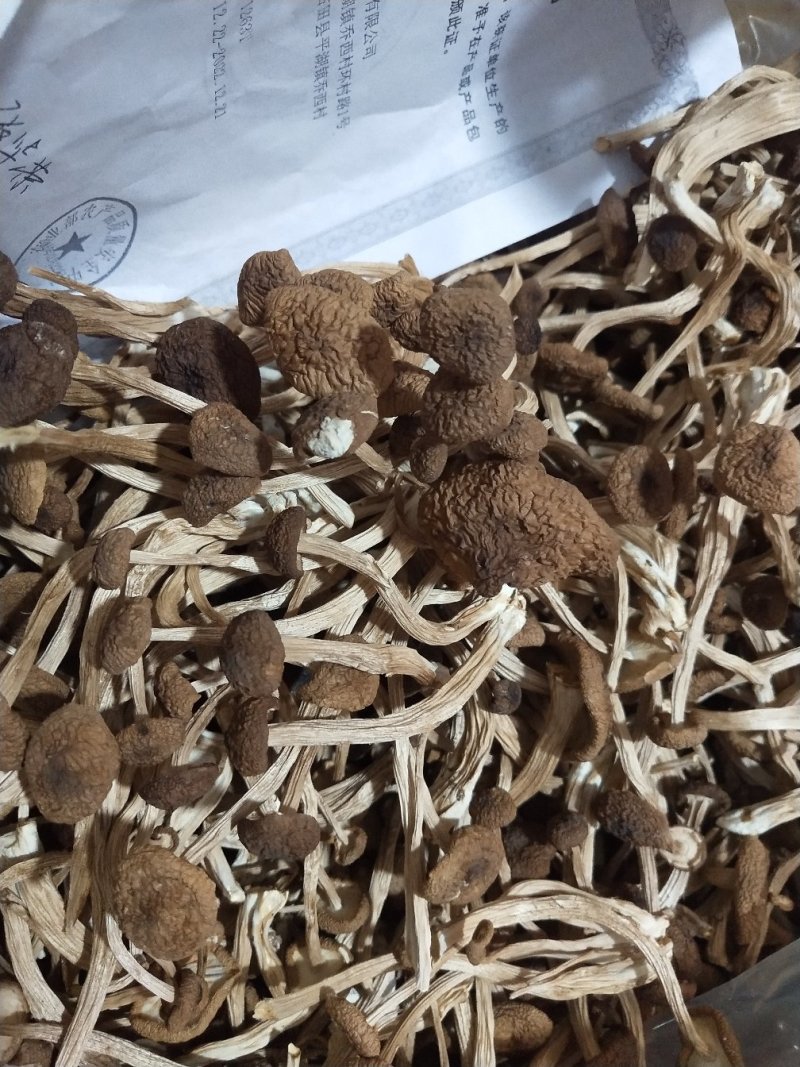 古田5号茶树菇不开伞量大运费商议请按购买数量拍否则不发货