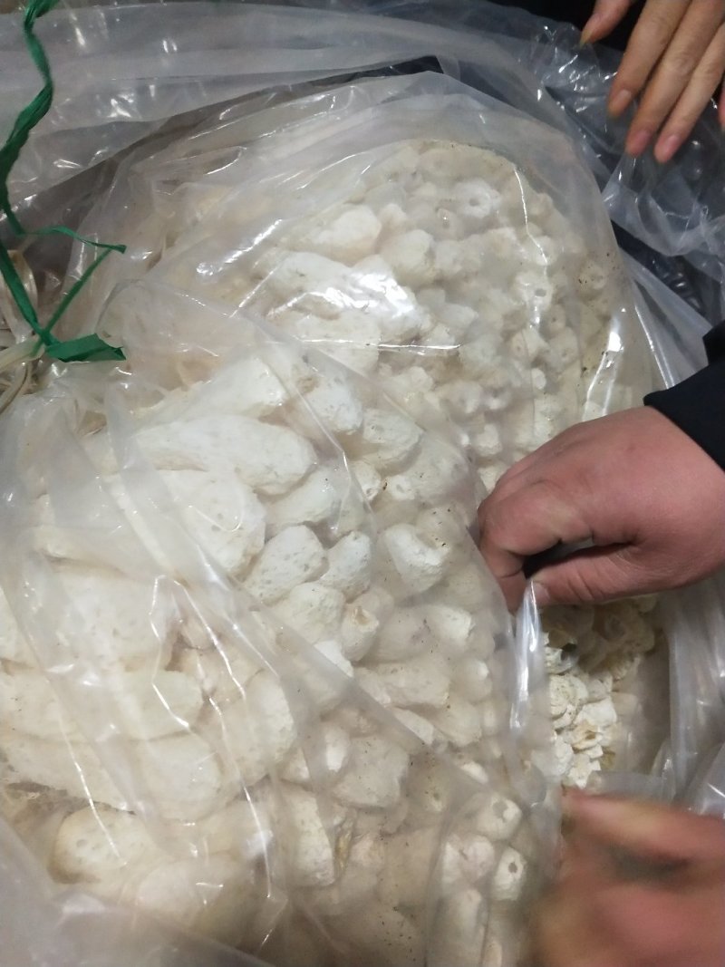 古田精选竹荪量大运费商议请按购买数量拍否则不发货谢谢