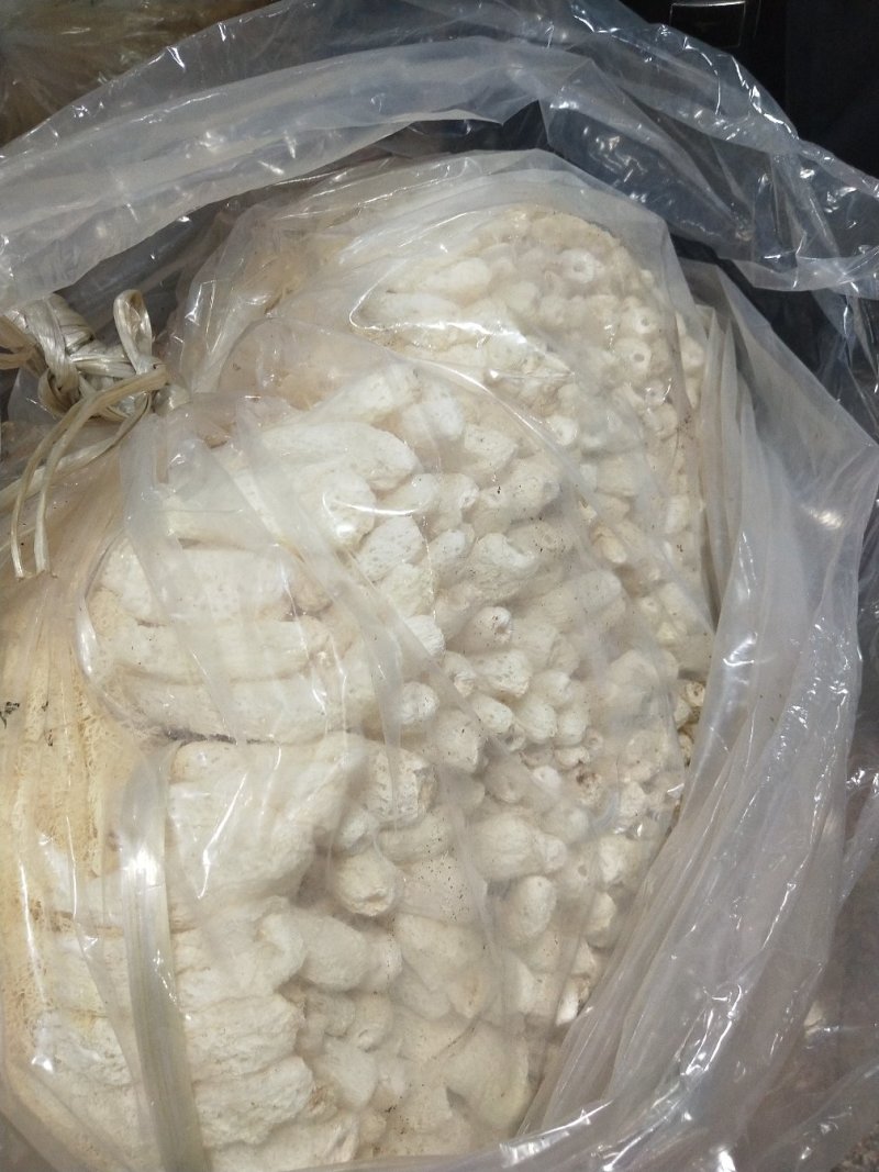 古田精选竹荪量大运费商议请按购买数量拍否则不发货谢谢