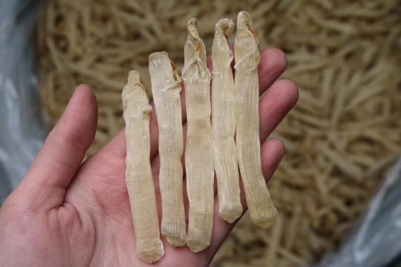 北海大号沙虫干。这批颜色好，白净，干度特好，有肾虚腰痛