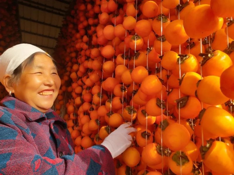 有好货富平柿饼电商一件代发落地配批发零售