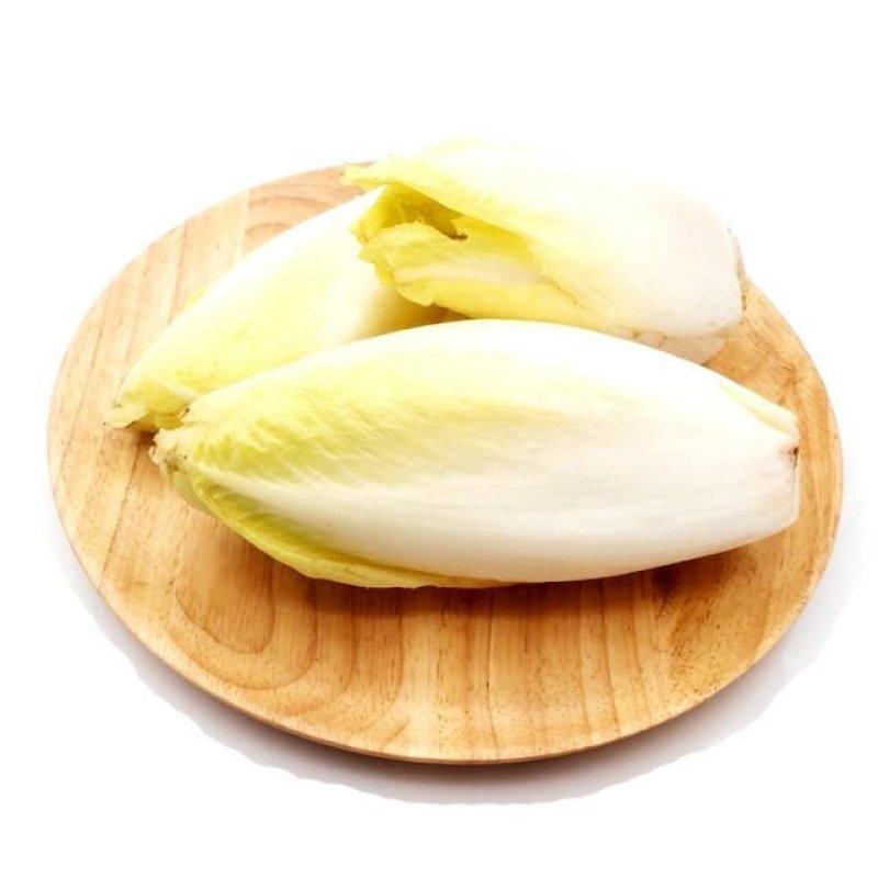金玉兰菜，芽球菊苣，山东基地直发，3斤，5斤，一件代发