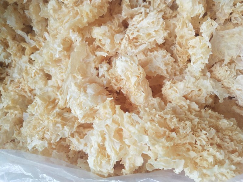 古田雪花银耳一级量大运费商议请按购买数量拍否则不发货