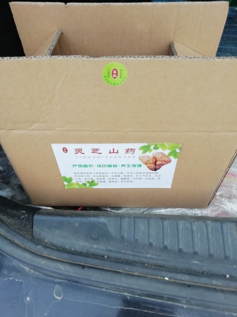 灵芝山药