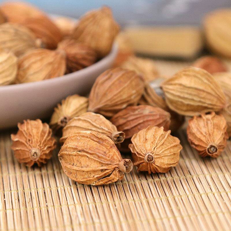 香砂香料调料药食两用各种中药材